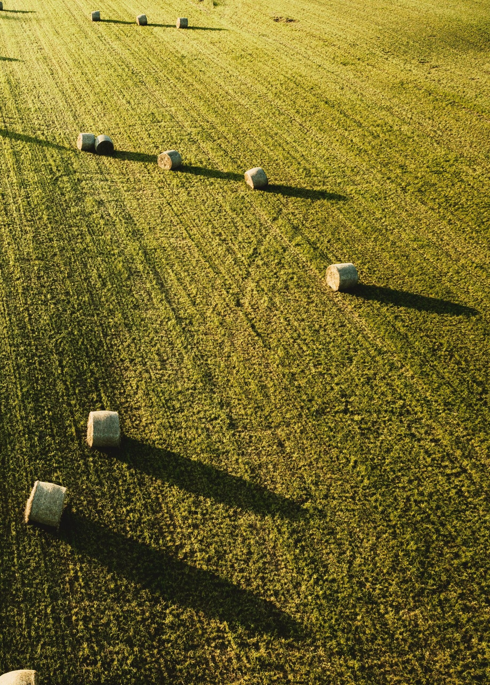 A large beautiful agricultural field with stacks of hay shot from above