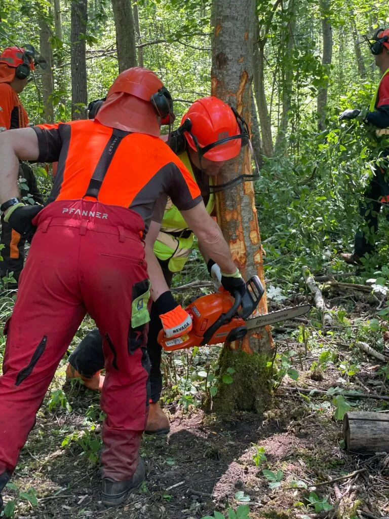 Meža īpašnieku apmācības, semināri un interešu grupas