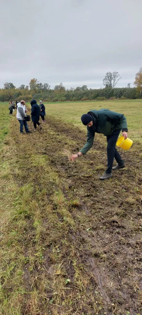 Aizvadīta lauka diena par bioloģiskās daudzveidības atjaunošanas metodēm zālājos